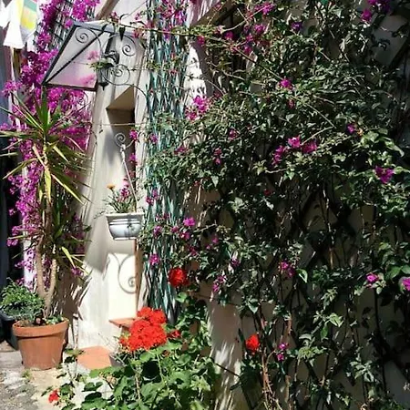 Coup De Coeur De La Cite Medievale Hyères