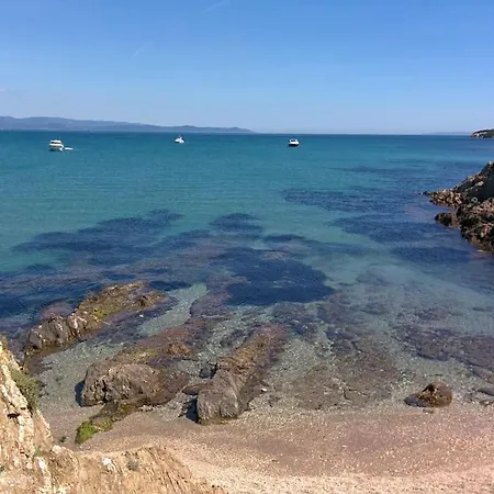 Coup De Coeur De La Cite Medievale *