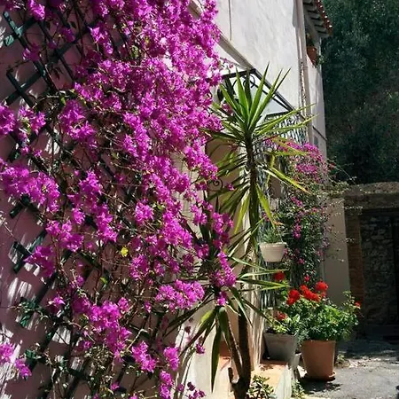 Coup De Coeur De La Cite Medievale Holiday home Hyeres