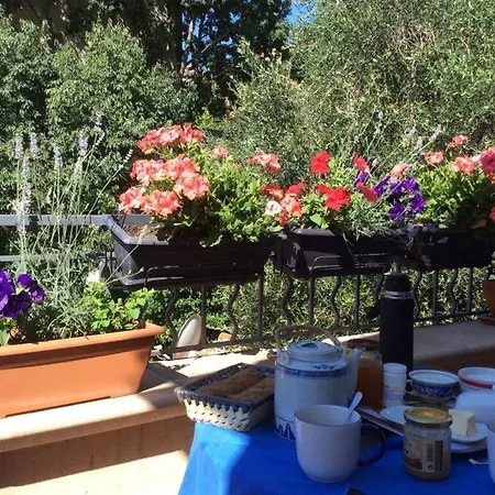 Coup De Coeur De La Cite Medievale * Hyeres