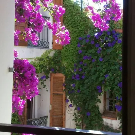 Coup De Coeur De La Cite Medievale * Hyeres