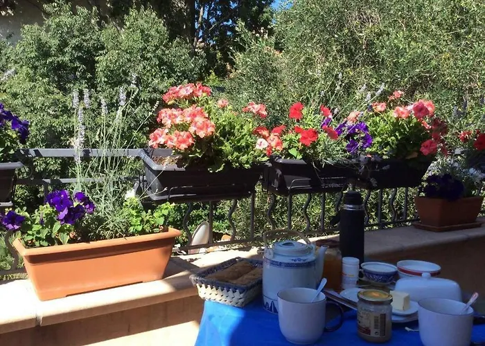 Coup De Coeur De La Cite Medievale * Hyères