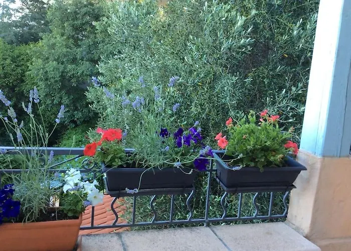 Coup De Coeur De La Cite Medievale Feriehus