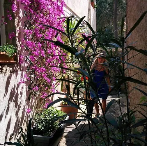 Coup De Coeur De La Cite Medievale *